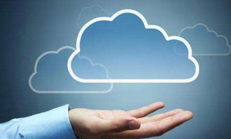 上?；ヂ摼W軟件集團的軟件開發 創新驅動與行業賦能